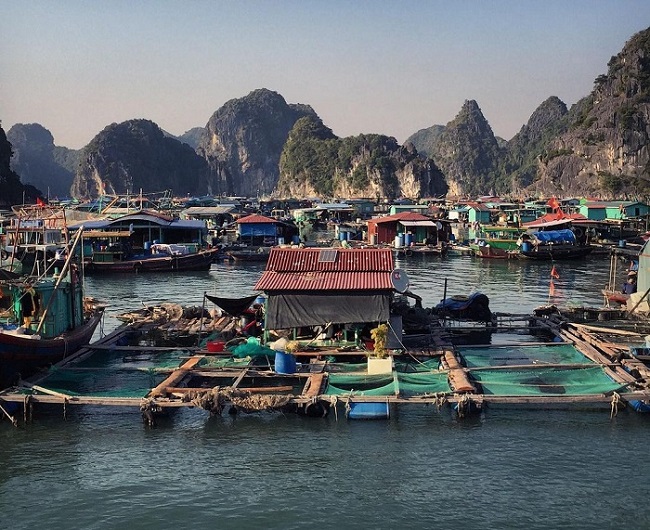 Làng chài cổ Cái Bèo – Chèo thuyền thưởng ngoạn ngôi làng cổ nhất Việt Nam